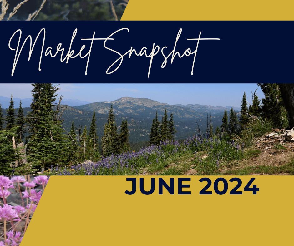 MOUNTAIN RESORT REALTY June 2024 Market Snapshot
